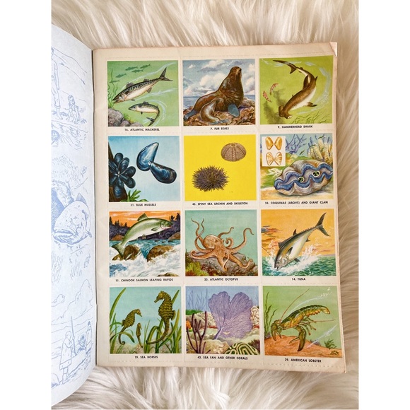 Vintage The Golden Stamp Book of Animals of the Sea 1974 Collectible Stamp Book - Picture 5 of 8